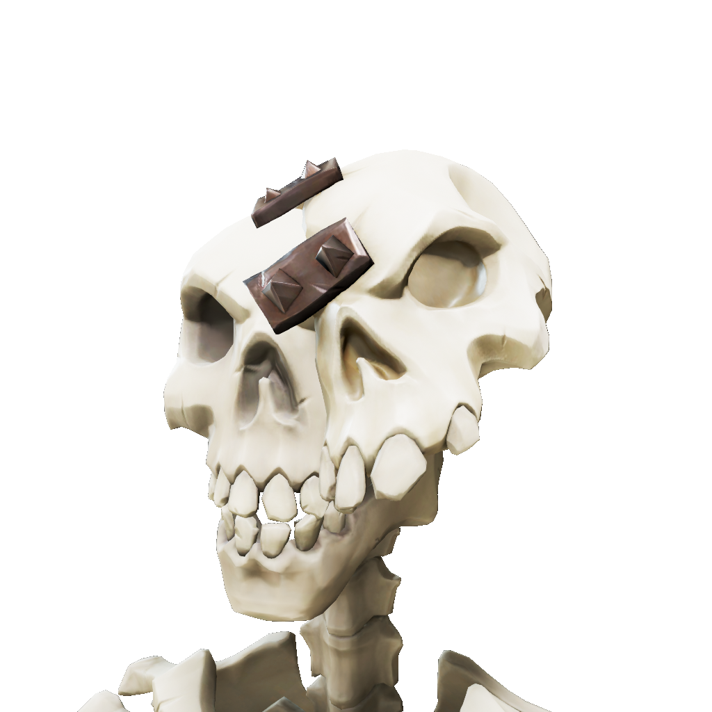 Repaired Skull