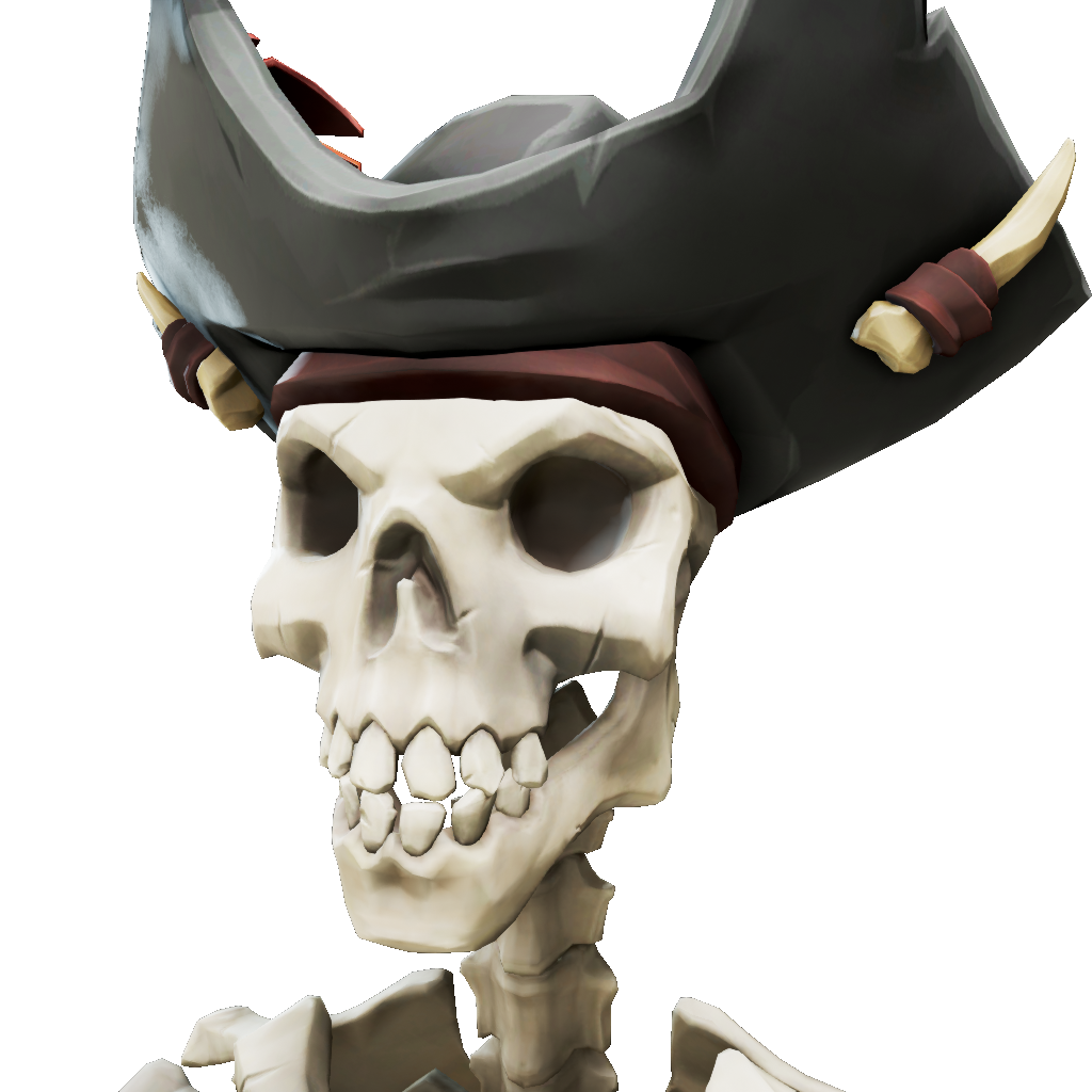 Warrior Acolyte's Skull