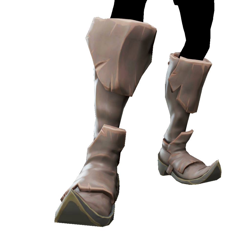 Pointed Boots