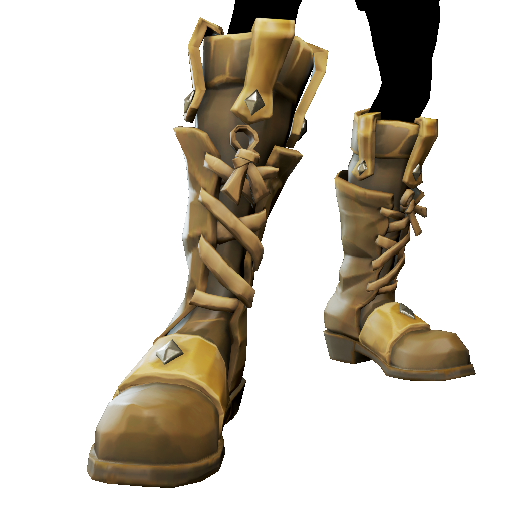Rogue Sea Dog Boots