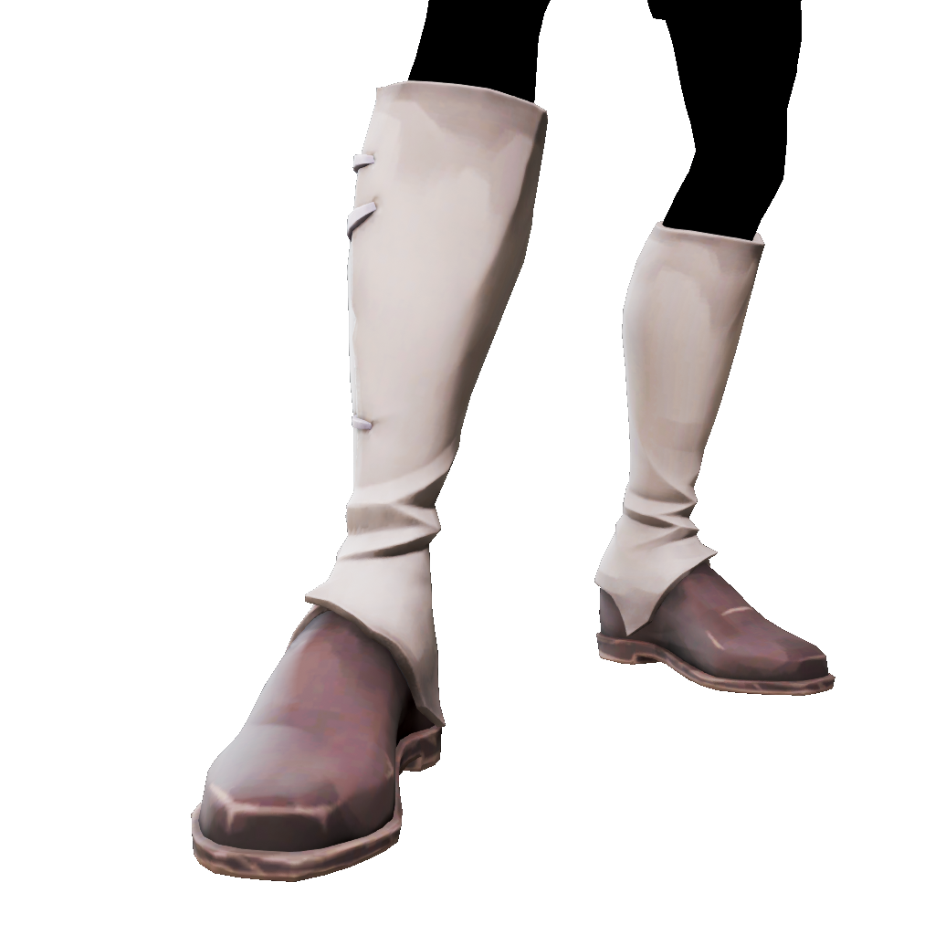 Silver Coin Boots