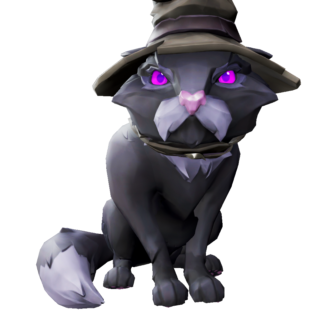 Coral Coven Cat