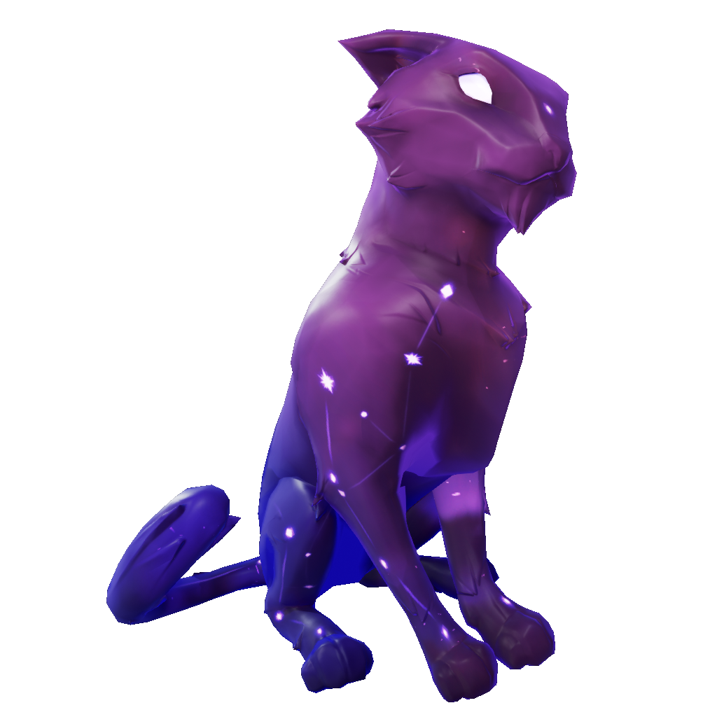 Dark Constellation Cat