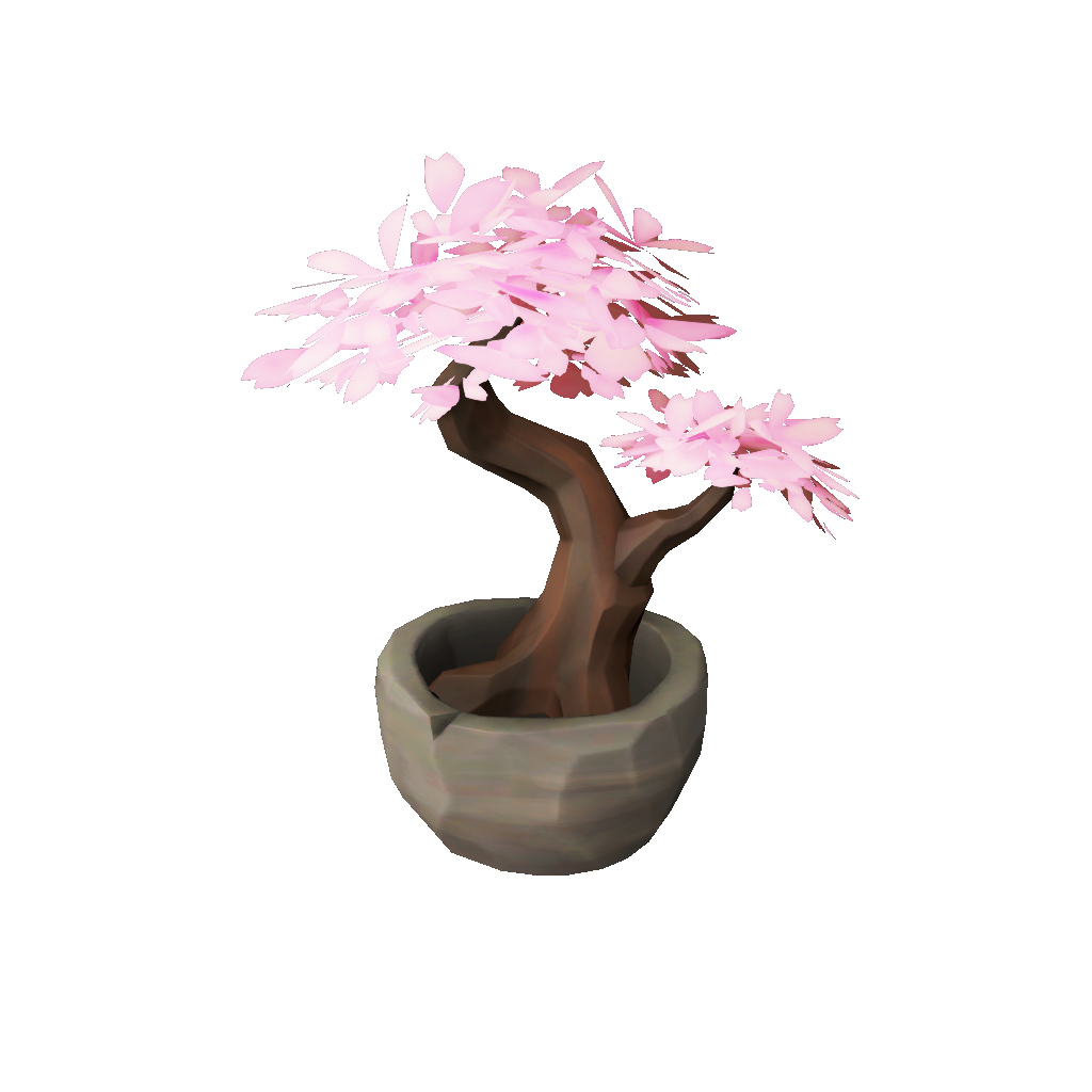 Blossoming Bonsai