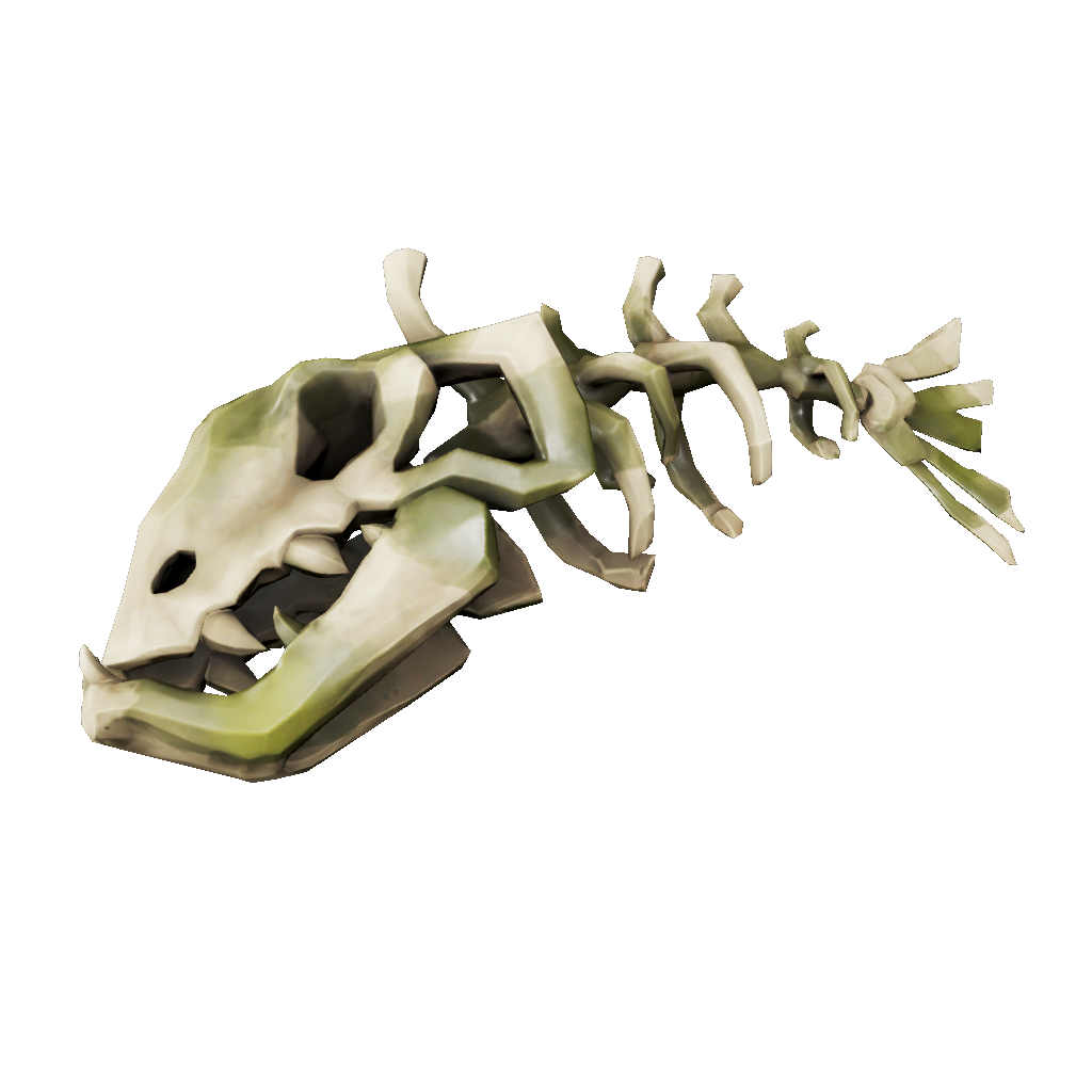 Splashtail Skeleton