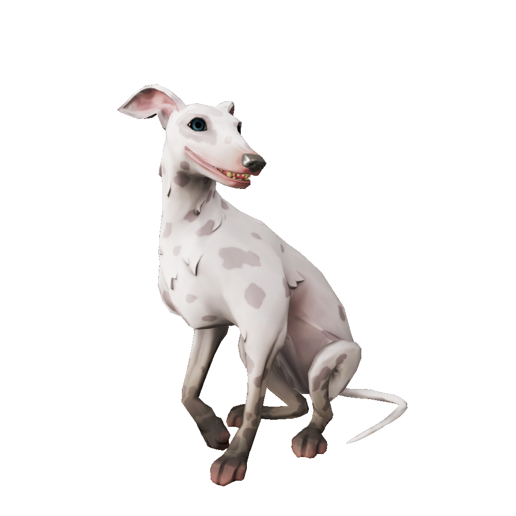 Ashpaw Whippet