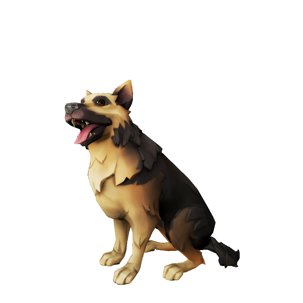 Saddleback Alsatian