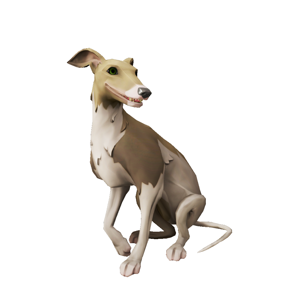 Streaked Whippet