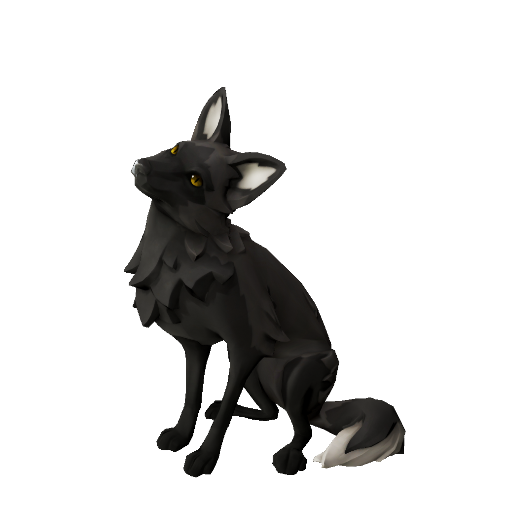 Veiled Fox