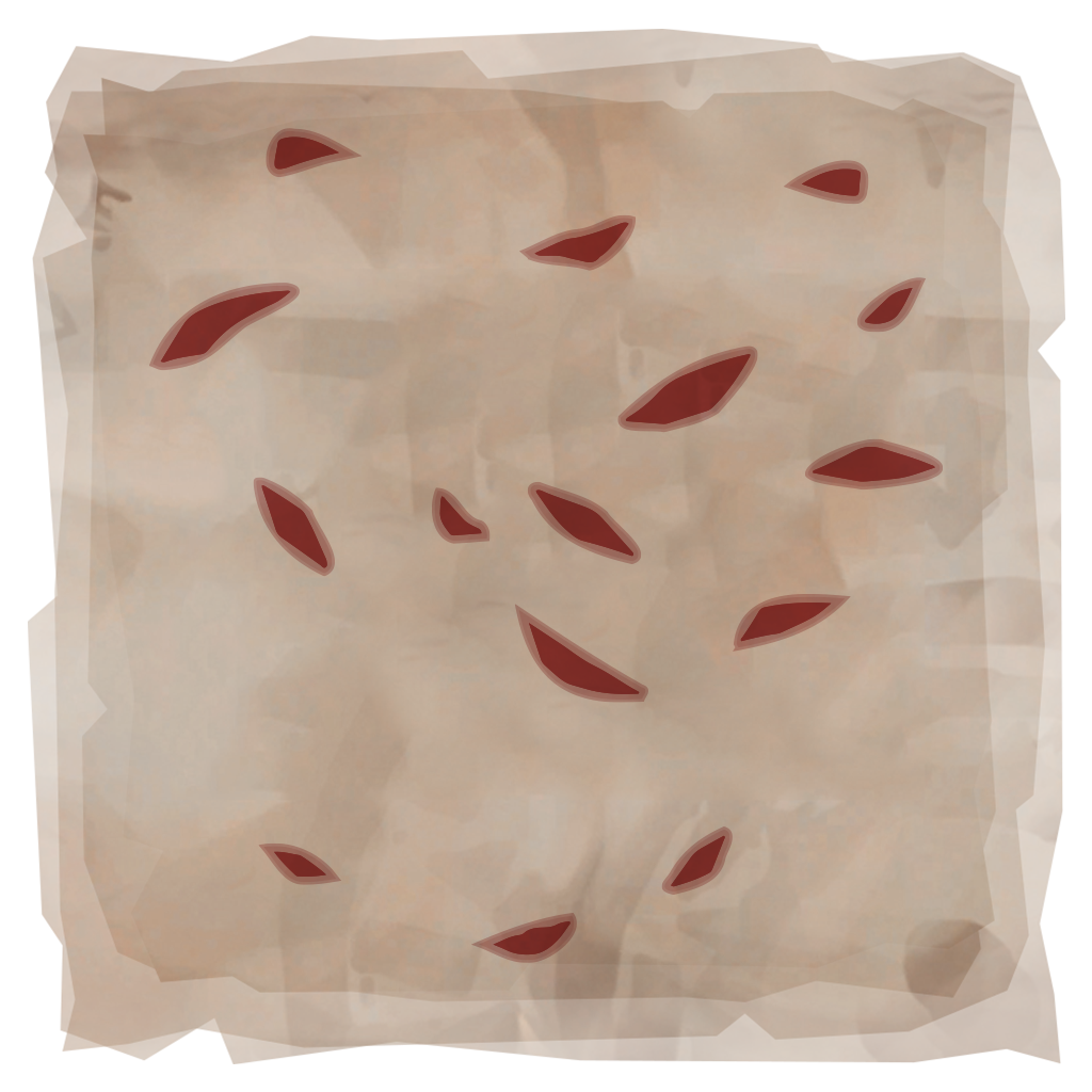 Flags of Friendship Scar