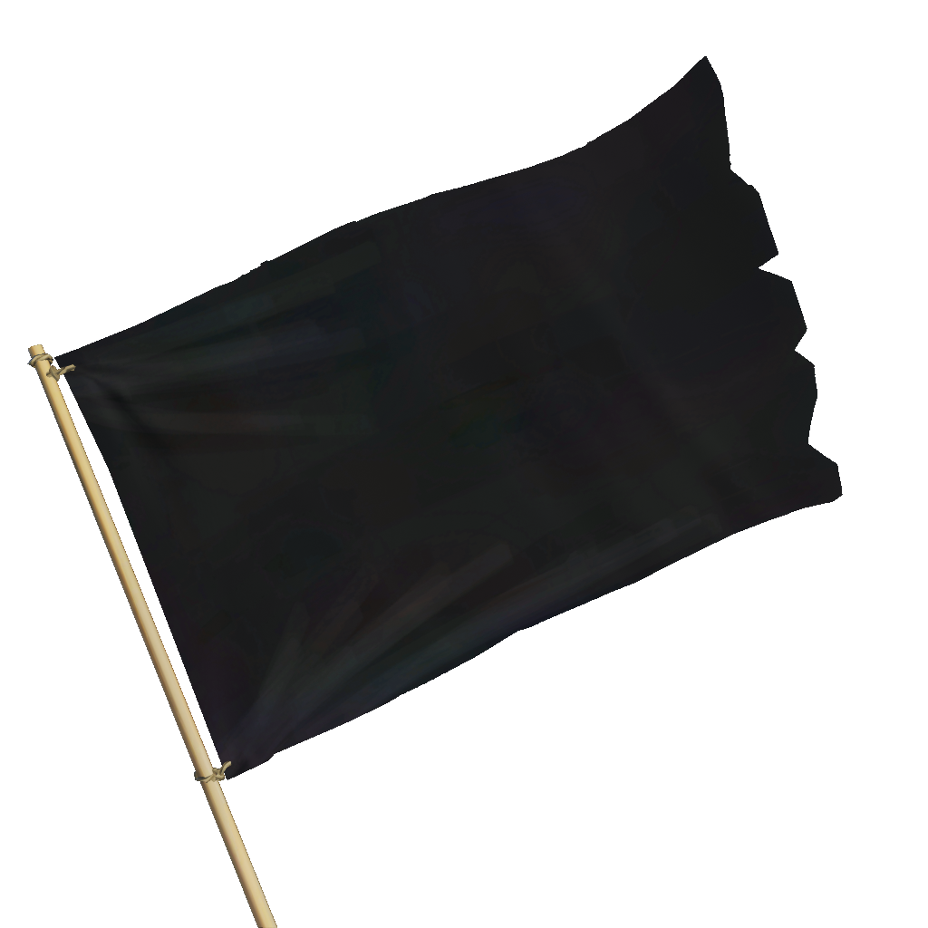 Black Flag