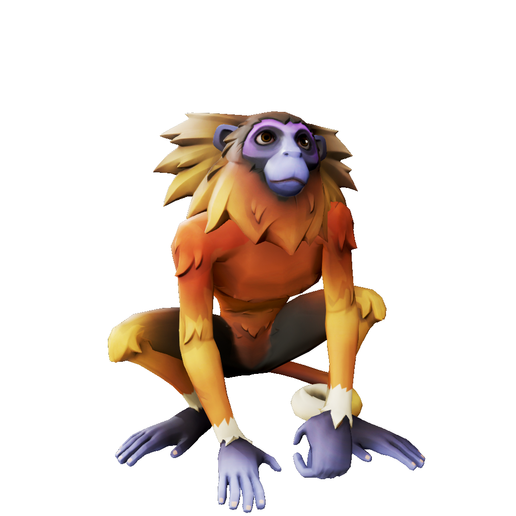 Dark Ember Marmoset