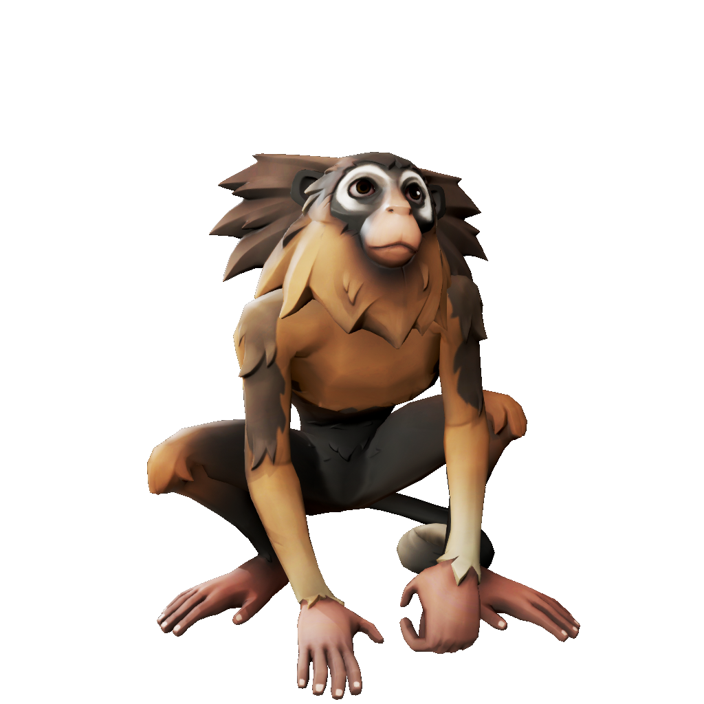 Mocha Marmoset