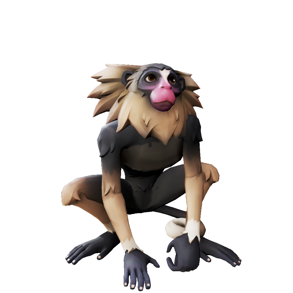 Nightpaw Marmoset