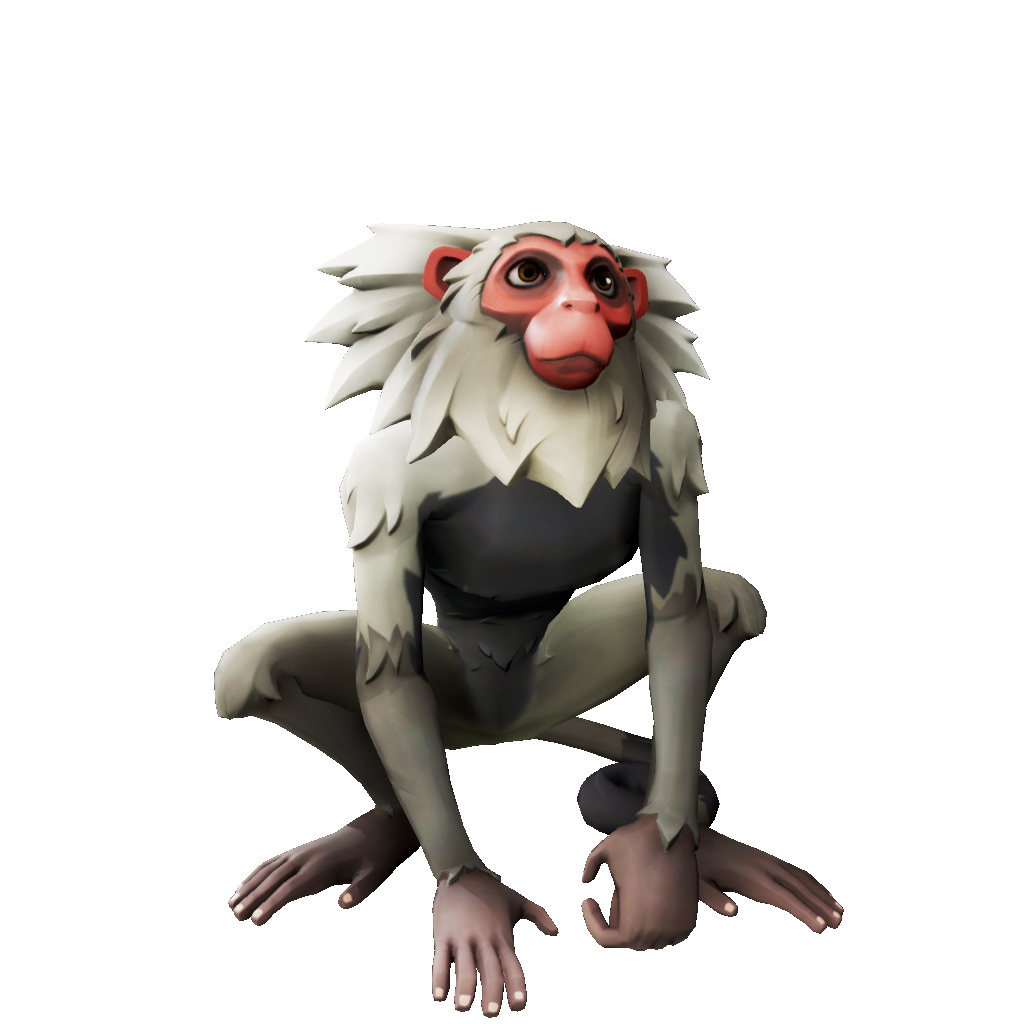 Peaktop Marmoset