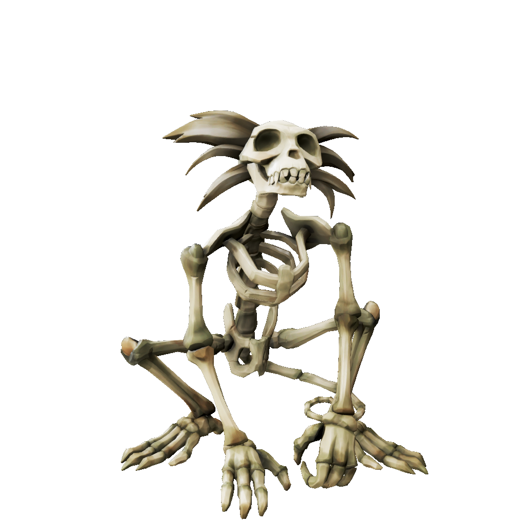 Skeleton Marmoset