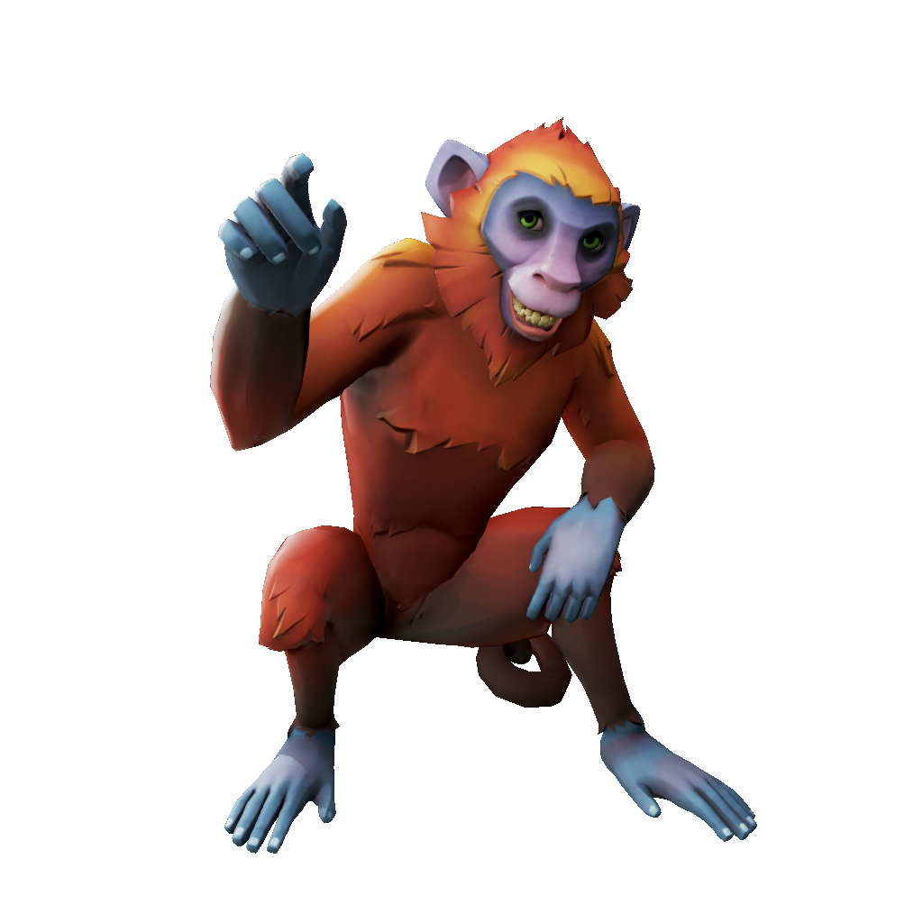 Sunset Capuchin