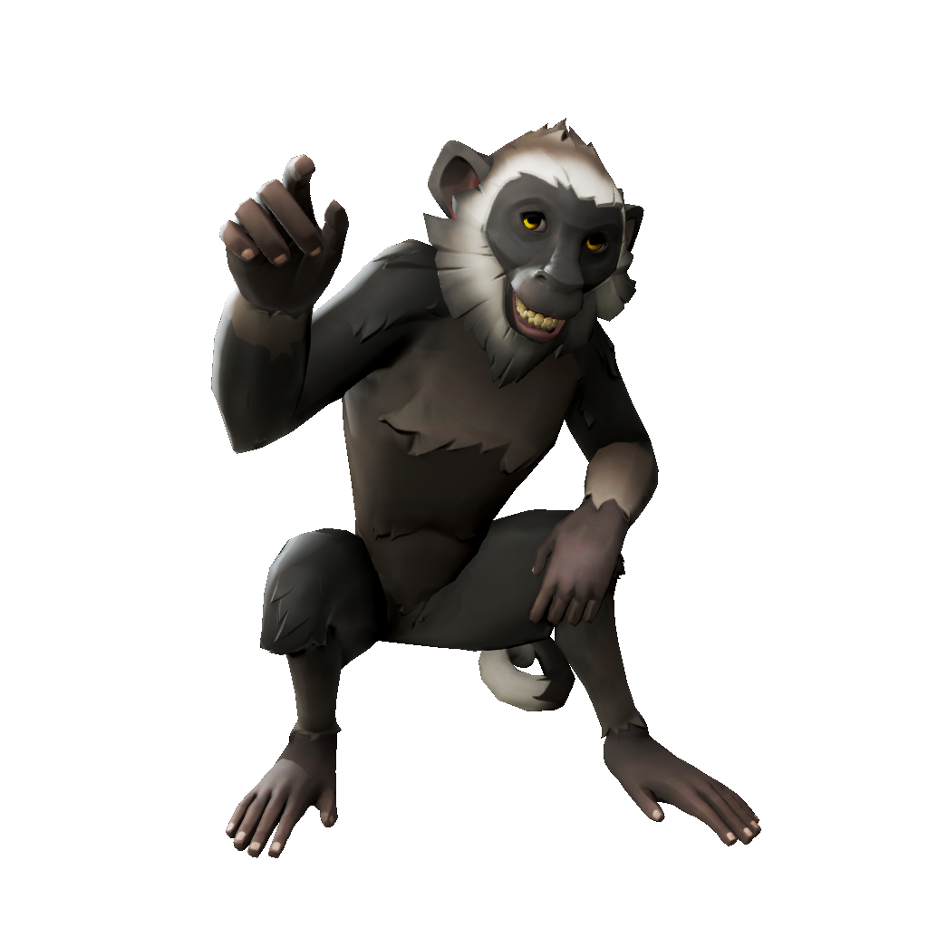 Whitebeard Capuchin