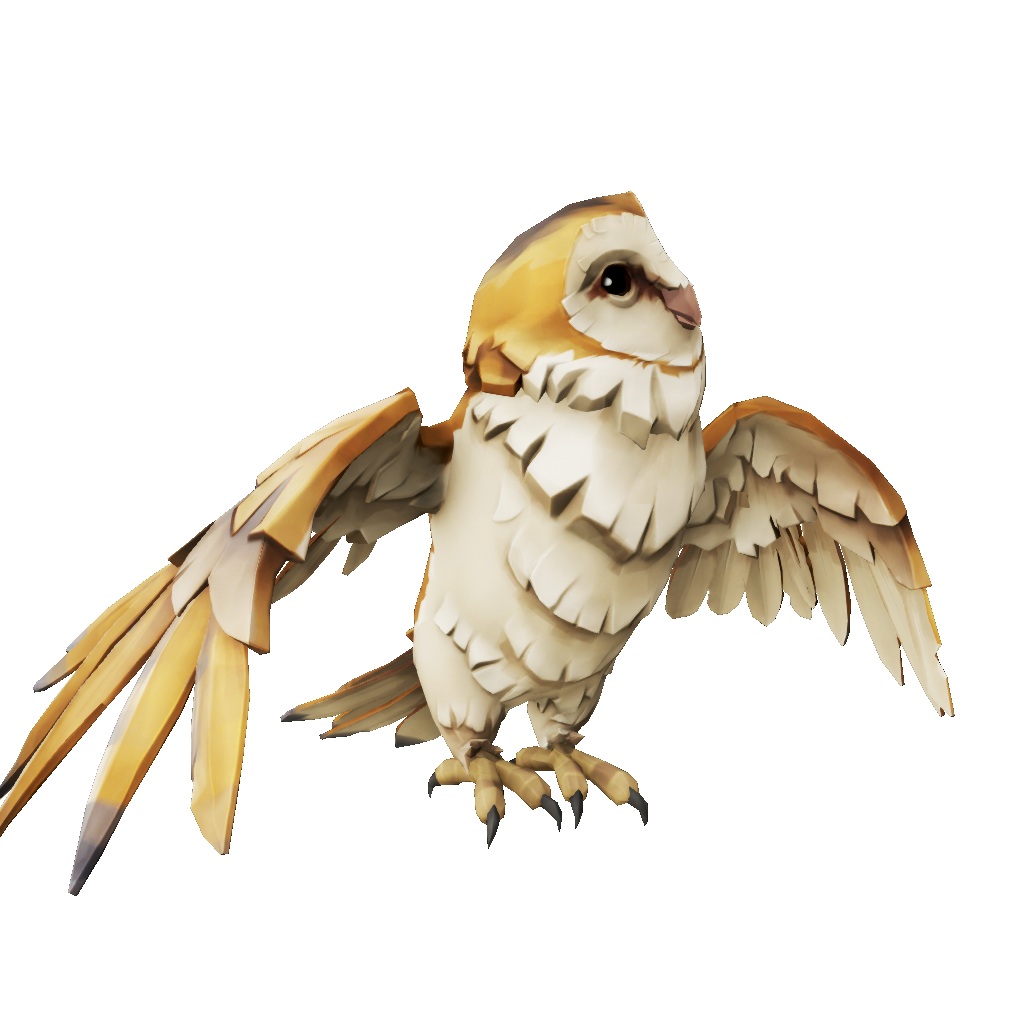 Barn Owl