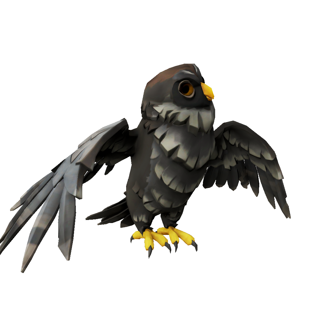 Black Banded Owl