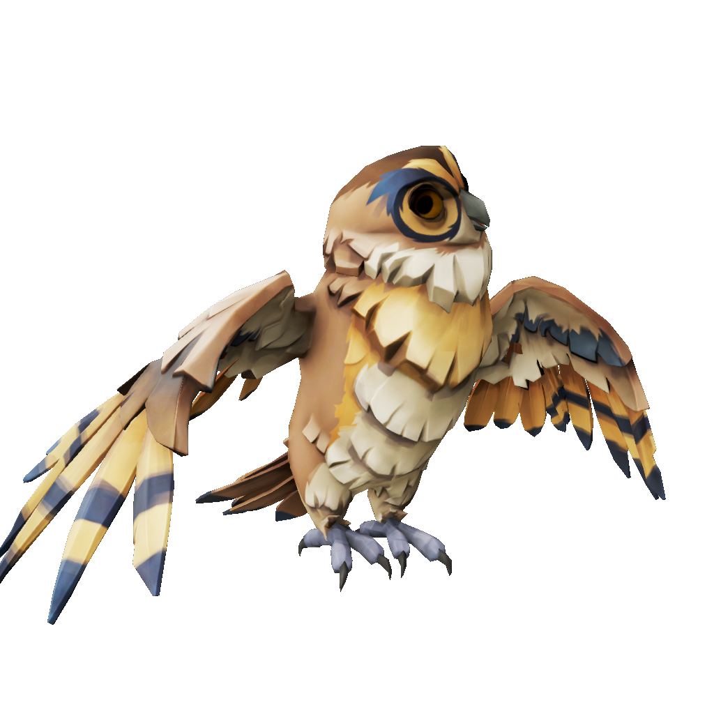 Tawny Owl