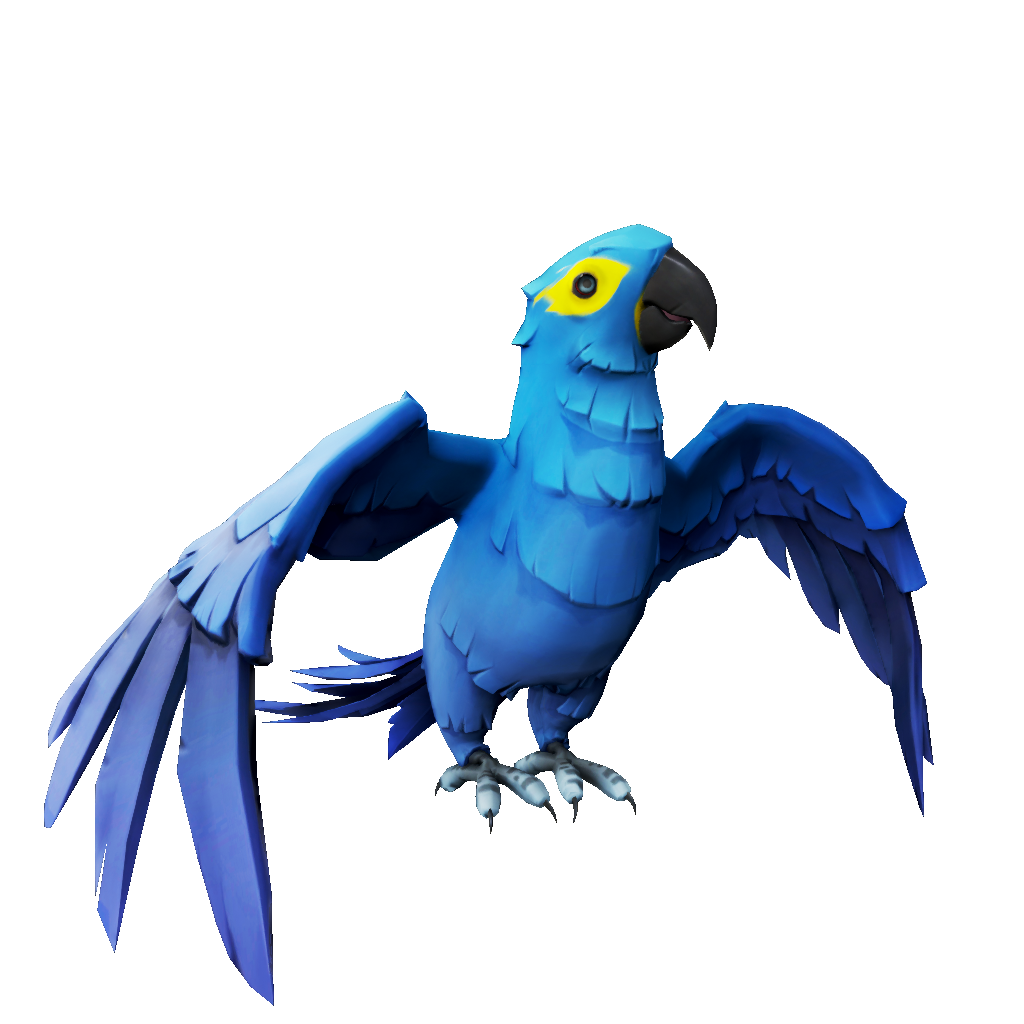 Azure Macaw