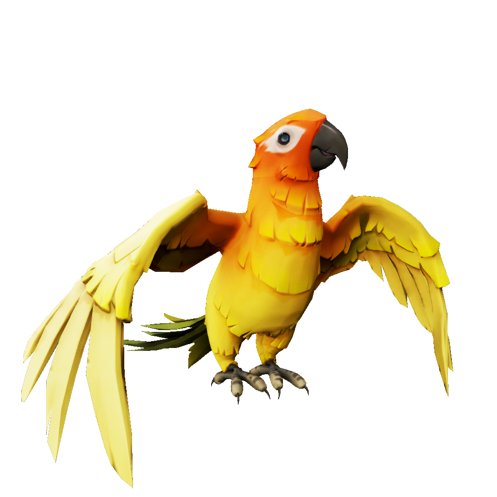 Flame Feather Macaw