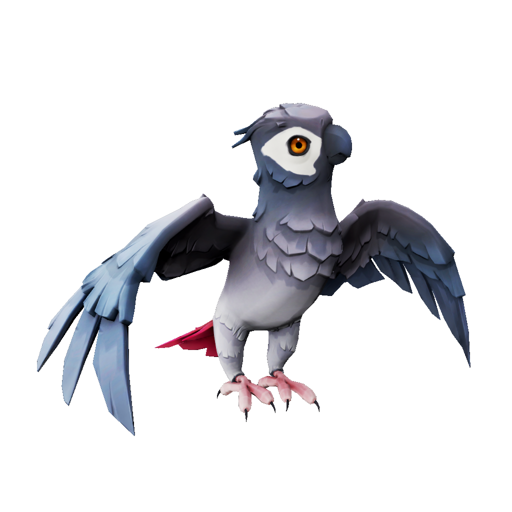 Grey Wing Parakeet