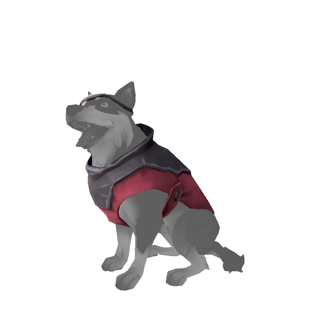 Alsatian Sea Dog Outfit