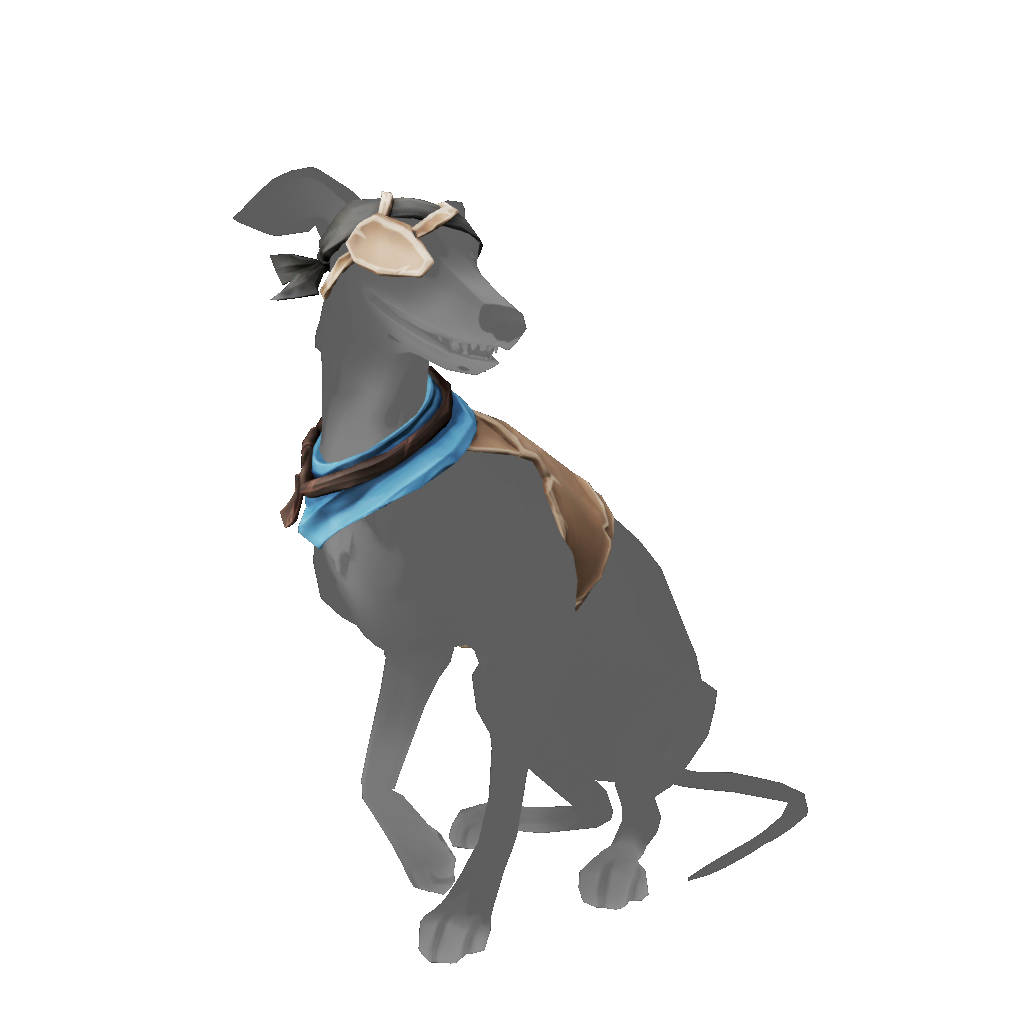 Whippet Bilge Rat Outfit