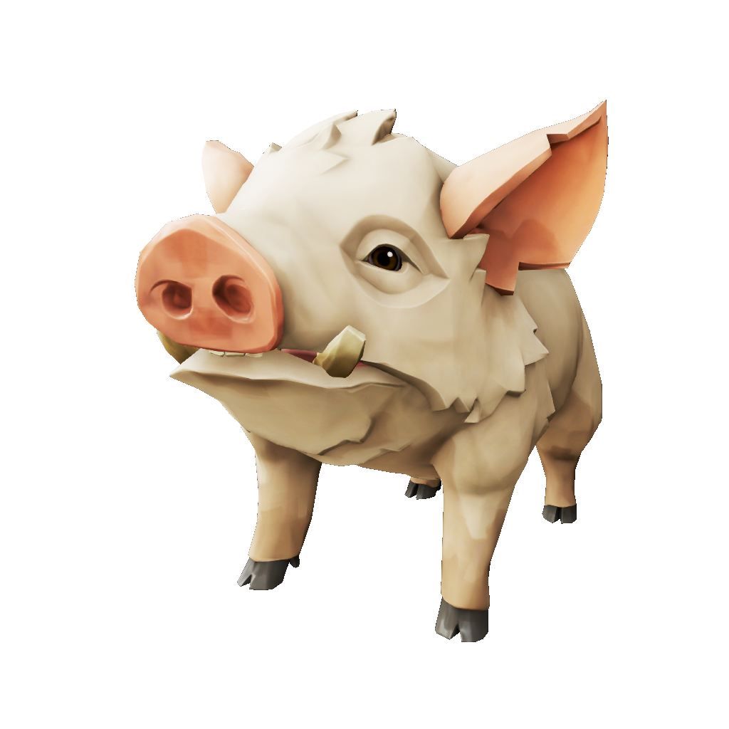 Oatmeal Pig