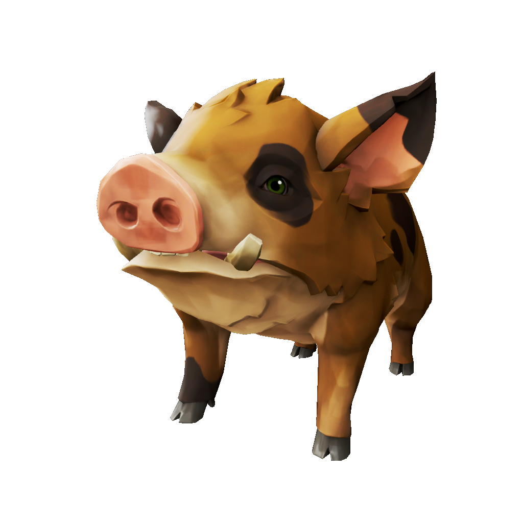 Truffle Pig