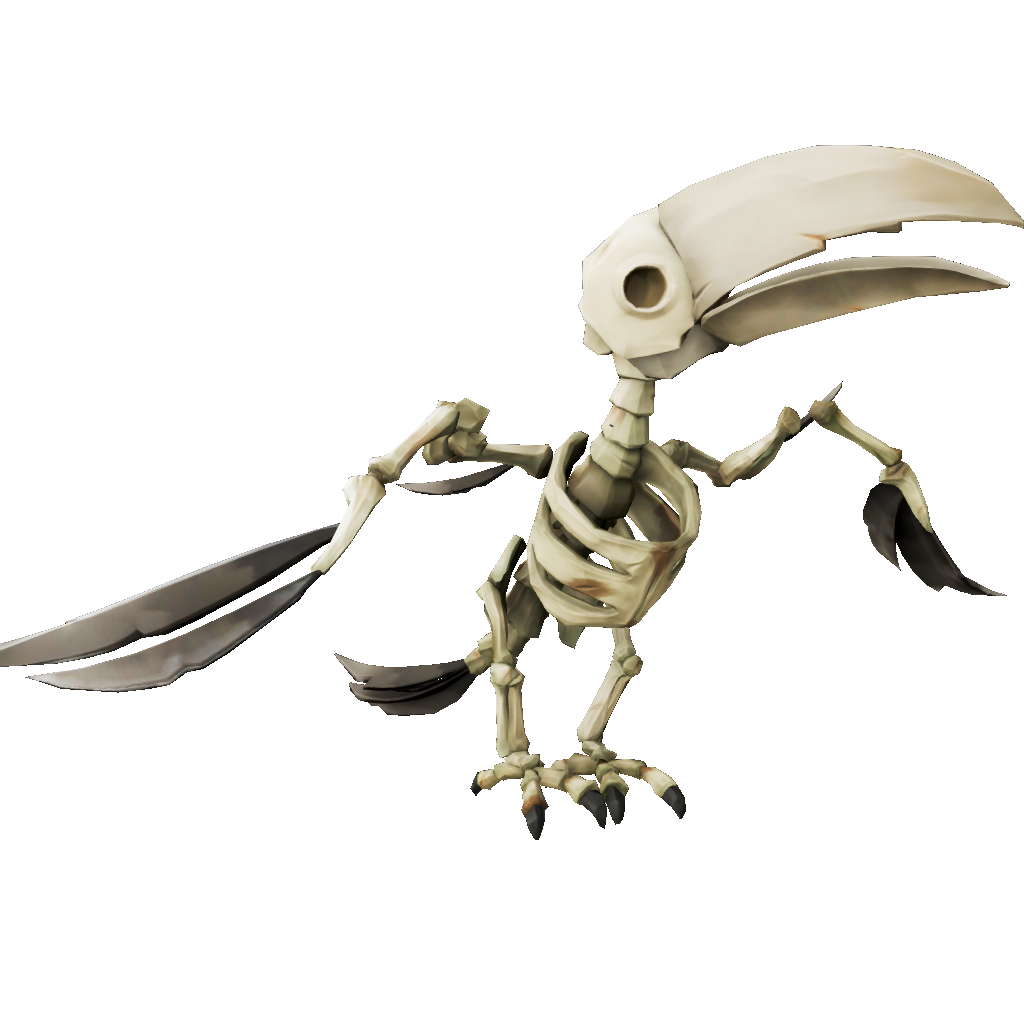 Skeleton Toucan