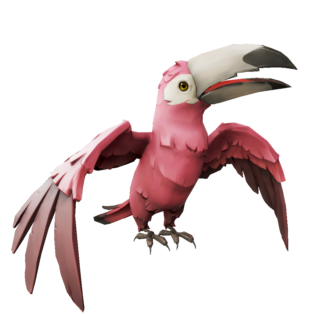 Sugarspun Toucan