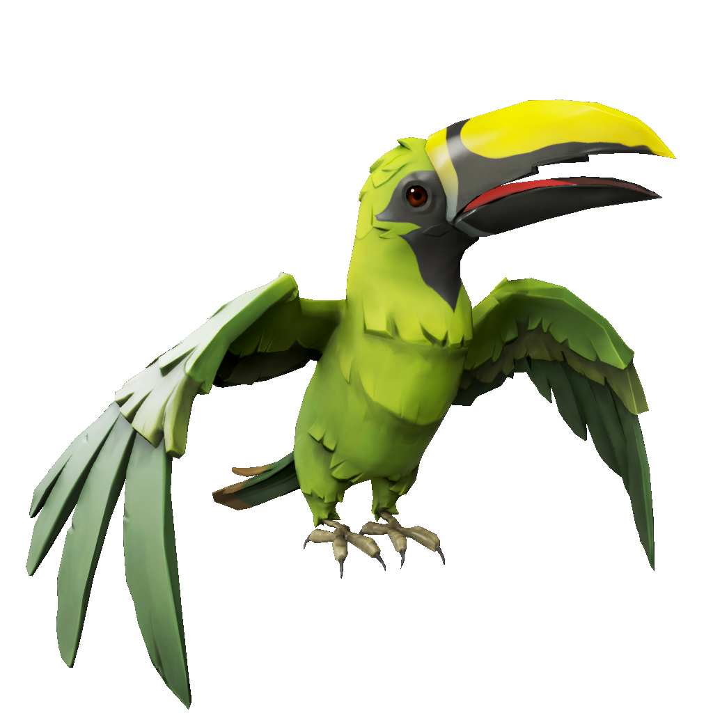 Treetop Toucan